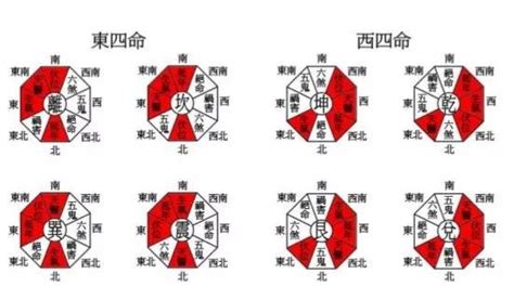 东四命|东四命卦和西四命卦的速查表